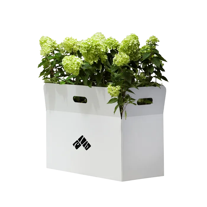 Custom-Floral-Packaging-Boxes.webp