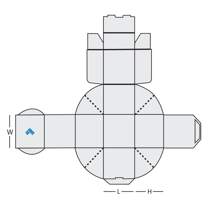 t-box-anatomy.webp